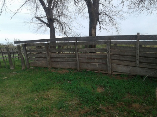 Imagen 3 de 19 de Campo 5000 Ha En El Dpto. Limay Mahuida- La Pampa
