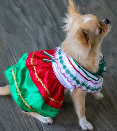 Traje mexicano para perro hotsell