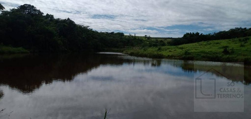 Fazenda À Venda, 65 Alqueires Por R$ 3.000.000 - Sítio Rural - São Sebastião Do Paraíso/mg - Fa0012