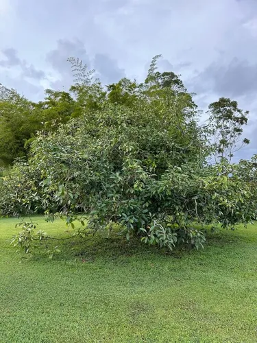 Vendo Lote En Parcelacion En Llanogrande