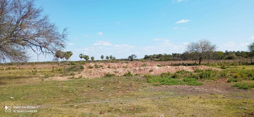 Imagen 11 de 12 de Campo Ganadero En Manuel Belgrano Formosa 944 Hectareas