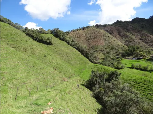 Finca En Venta La Unión Via Abejorral Antioquia. 83 Hectareas
