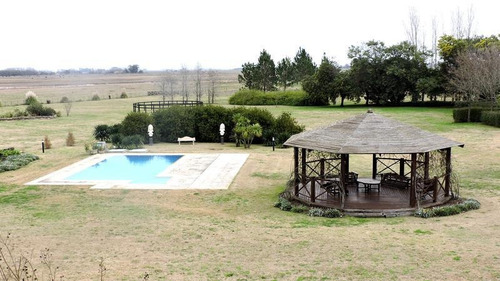 Imagen 15 de 24 de Campo En Venta 50 Has En Punta Indio - Excelente Casco - Ideal Haras