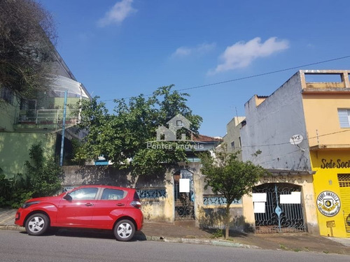 Imagem 3 de 6 de Terreno 12x43 No Bairro Baeta Neves-sbc-sp - Ter051