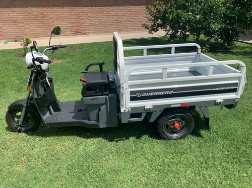 Guerrero Argencargo 110