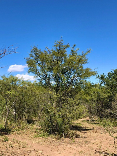 Imagen 18 de 24 de Lotes Con Escritura Desde 1556 M2 A 2365 M2 / Villa De Las Rosas - Traslasierra