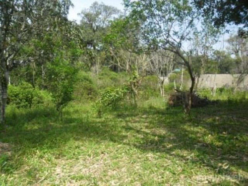 Chácara - 218 - 3207027