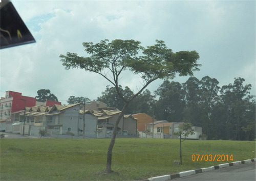 Imagem 1 de 4 de Terreno À Venda - Parque São Vicente - Mauá - Sp - 27749