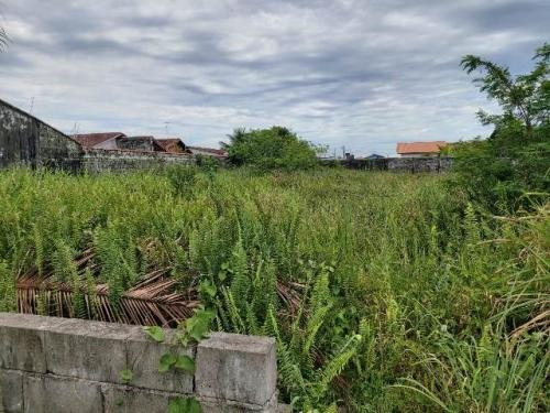 Terreno À 700 Mts Do Mar, Em Rua Pavimentada-itanhaém/sp