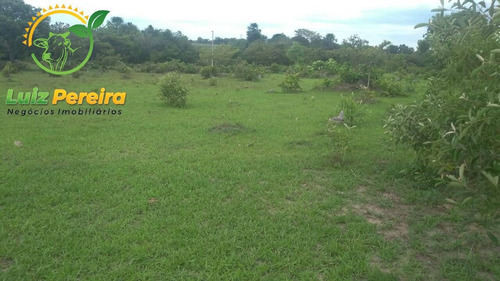 Imagem 8 de 9 de Fazenda À Venda Em Recursolândia -t0 - 3998 Hectares (dupla Aaptidão) - 1592