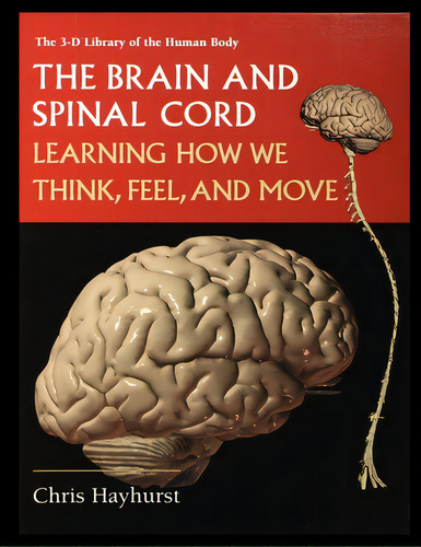 The Brain And Spinal Cord: Learning How We Think, Feel And Move, De Hayhurst, Chris. Editorial Rosen Pub Group, Tapa Blanda En Inglés