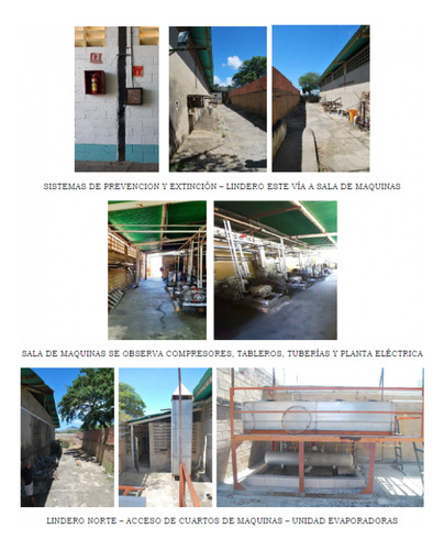 Empresa De Servicio De Congelación Y Refrigeración De Alimentos