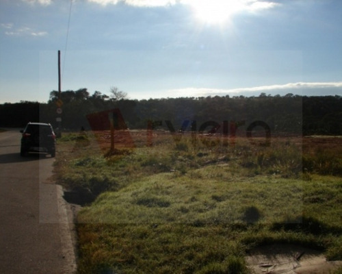 Imagem 2 de 2 de Área - 568 - 32400915