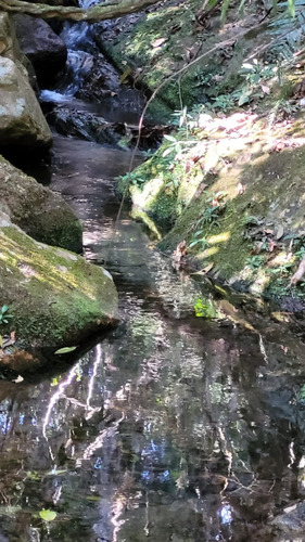 Sitio Serra Da Canastra