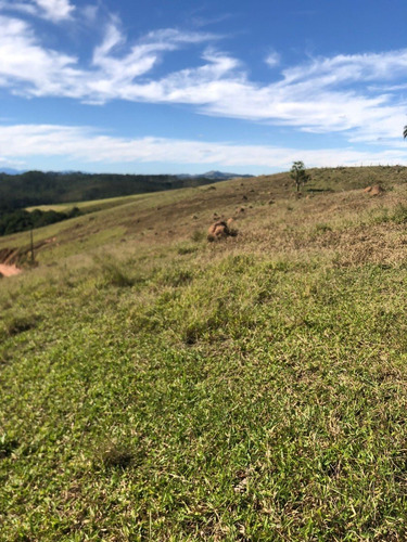 Imagem 4 de 14 de A23d-vendo Maravilho Terreno De 1.000 M²