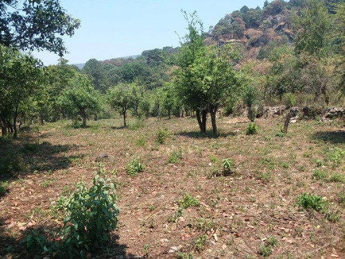 Imagen 4 de 4 de Terreno En Venta En Santo Domingo, Tepoztlán $2,530,000.00