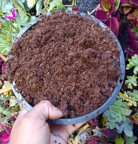 Substrato Turfa De Sphagnum Especial Adubo Orgânico 3 Litros