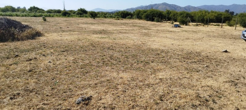 Venta De Parcela De 5.600 M² Totalmente Plano En Peralillo