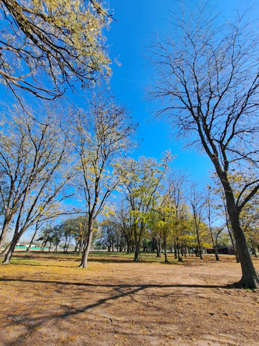 Lotes - Terreno En Venta - Barrio Abierto - Las Merceditas