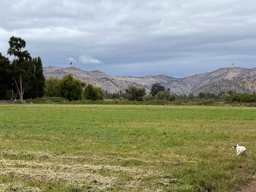 Maravillosas Parcelas En Talagante