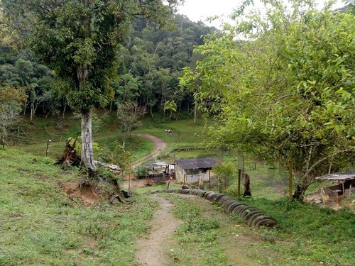 Imagem 20 de 30 de Sítio À Venda Em Juquitiba! - 172 - 34443922
