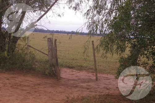 Campo Mixto En Venta - 2.270 Ha En Corrientes Con Gran Potencial Productivo