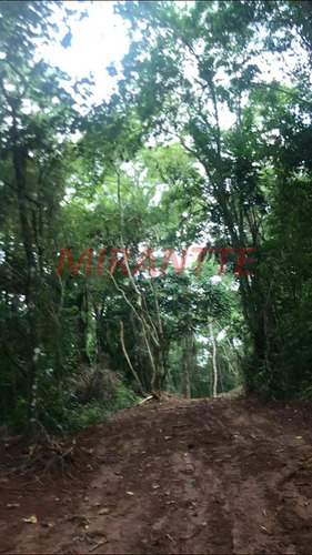 Imagem 8 de 8 de Terreno Em Serra Da Cantareira - São Paulo, Sp - 352874