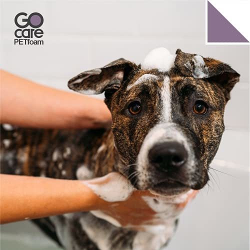 Imagen 3 de 5 de Go Care Petfoam - Shampoo Espuma Para Baño En Seco Con Extra