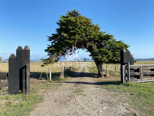 Imagen 27 de 30 de Sitio 5.000m2 Oferta Orilla Rio Navegable En Venta En Toltén