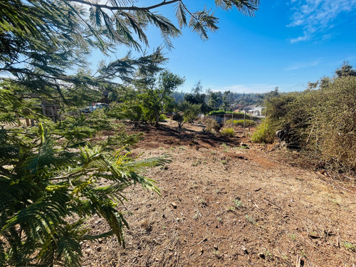 Se Vende Terreno En Sector Los Pinos, Reñaca, Viña De Mar.