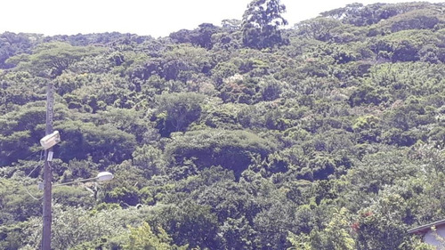Imagem 7 de 9 de Terreno Em Córrego Grande, Florianópolis/sc De 507m² À Venda Por R$ 370.000,00 - Te412346-s