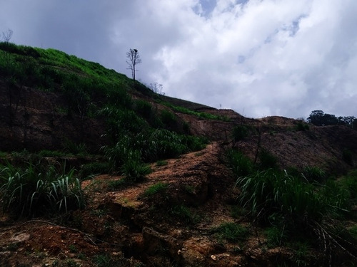 Imagen 10 de 14 de Venta De Dos Parcelas De Terreno Urb. Los Leones Llano Alto Carrizal