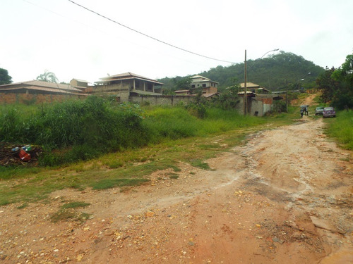 Lote Para Comprar No Pinhões Em Santa Luzia/mg - 3312