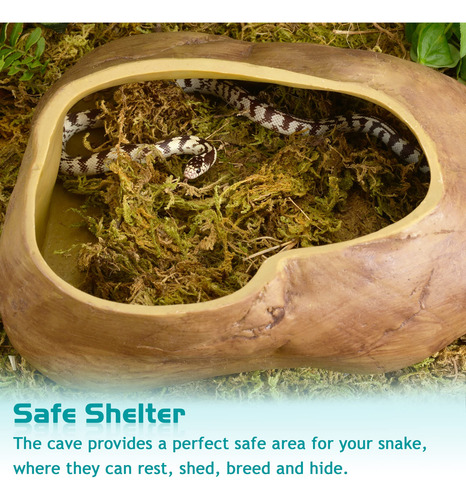 Cueva Serpiente Hábitat Natural Para Reptiles Gecko Serpient