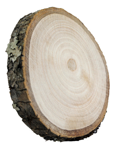  Rodaja De Madera Natural 21 Cm