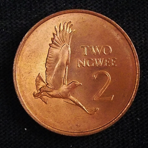 Zambia 2 Ngwee 1983 Sin Circular Km 10a Fauna Águila