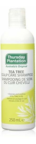 Jueves Plantation Tea Tree Scalp Care Shampoo - 8.45 Fl Oz