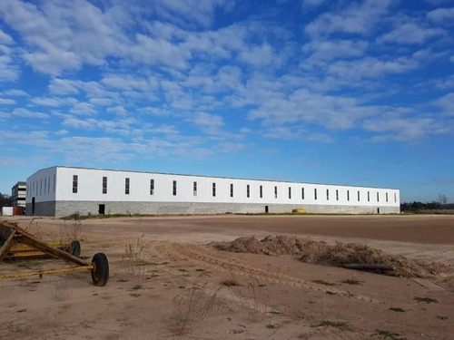 Imagen 14 de 14 de Naves Industriales De 2500 M2 A 5000m2
