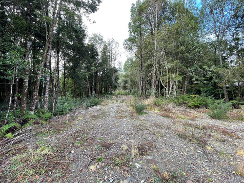 Parcela 5.750 M² Con Bosque Nativo, Cerca De Puerto Varas