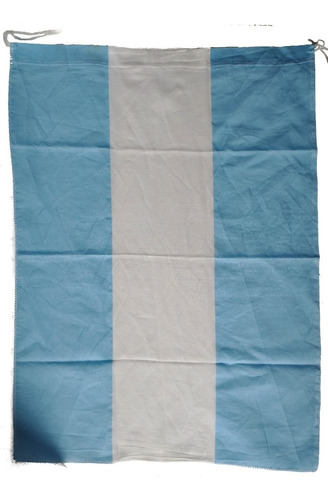 Bandera Argentina Grande 50 X 68 Cm Art Usado