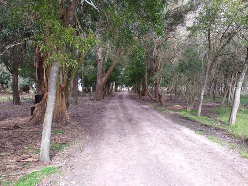 Imagen 8 de 14 de Campo En Venta En Punta Indio - 77 Hectáreas