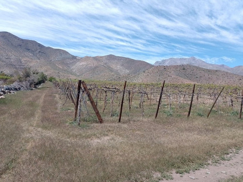 Imagen 17 de 20 de Predio Agua Amarilla, Monte Patria