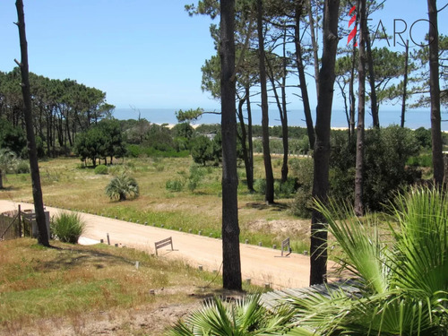 Casa En Venta Y Alquiler En Pinar Del Faro.