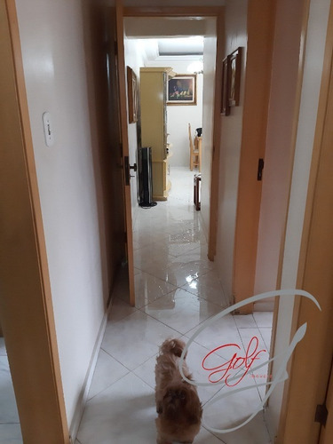 Imagem 21 de 24 de Lindo Apartamento 3 Dormitórios - Jaguaré - Ap01303 - 70397898