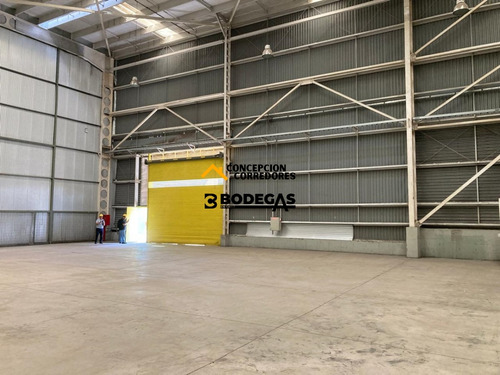 Arriendo Bodega De 777 M2 En Pi De San Bernardo.