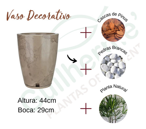 Planta Natural Palmeira Ráfia Com Vaso Cone