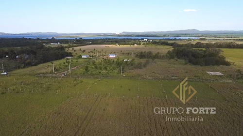 Imagen 13 de 29 de Lotes En Quillinzo