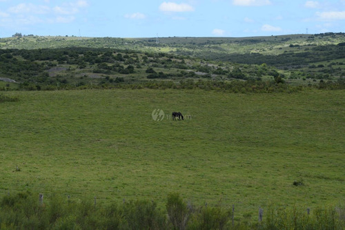 Imagen 9 de 20 de Venta Chacra Sierra Ruta 39 Aigua Sierra De Los Caracoles