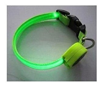 Collar Perro Nylon Con Luces Led Verdes