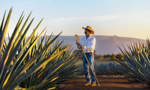 3x2 Tequila Jose Cuervo Tradicional Plata 950 Ml